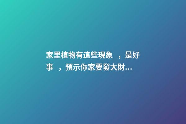 家里植物有這些現象，是好事，預示你家要發大財了！